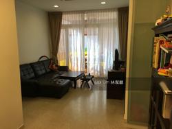 palm-galleria photo thumbnail #7